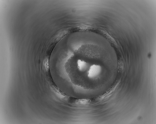 X0000099500479200805221404