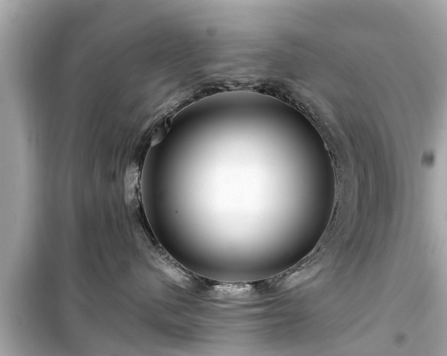 X0000099500480200805221404