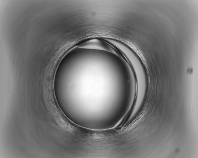 X0000099500481200805221404