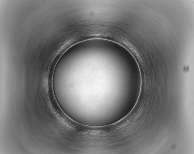 X0000099500482200805221404