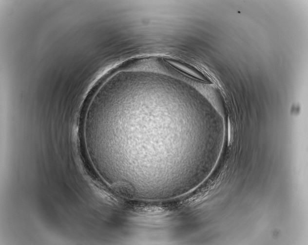 X0000099500483200805221404