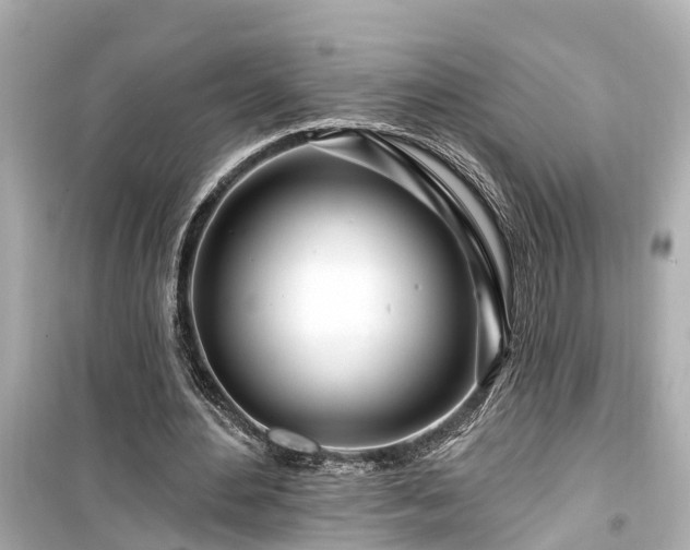 X0000099500484200805221404