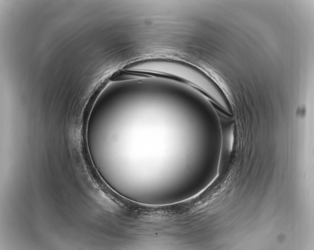 X0000099500485200805221404