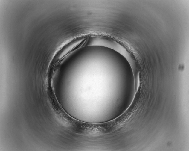 X0000099500488200805221404