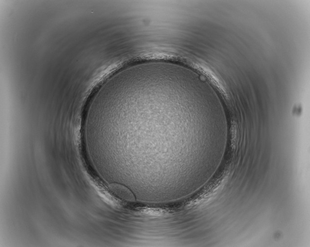 X0000099500490200805221404