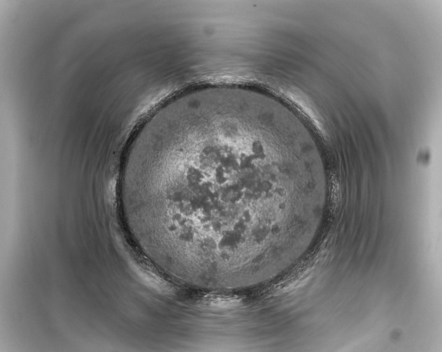 X0000099500491200805221404