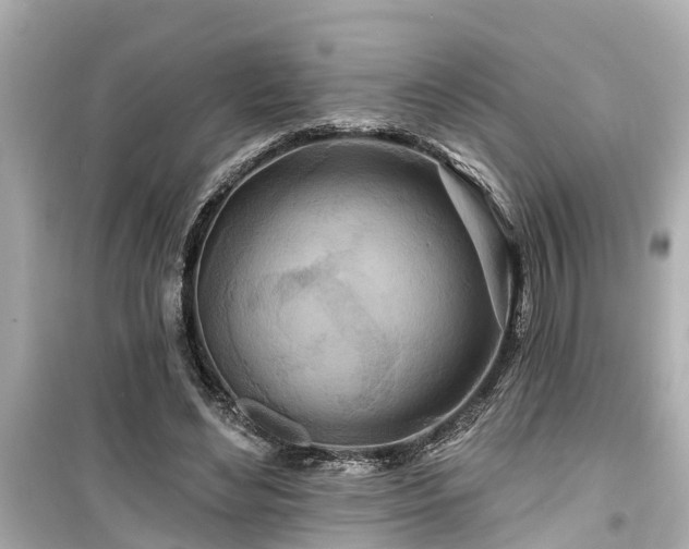 X0000099500492200805221404