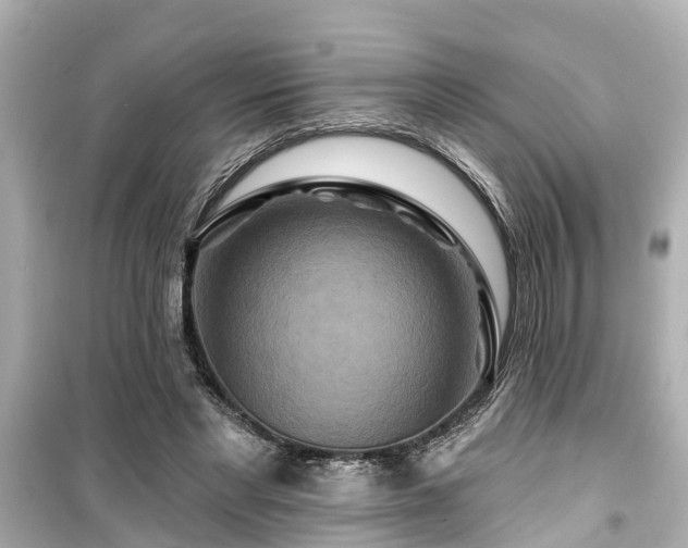 X0000099500493200805221404