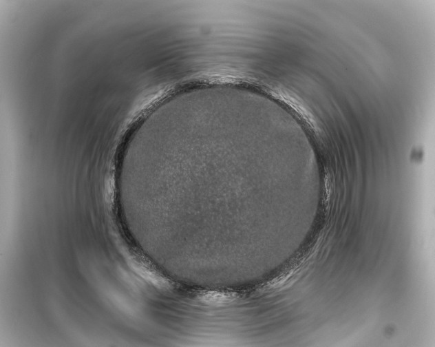 X0000099500494200805221404