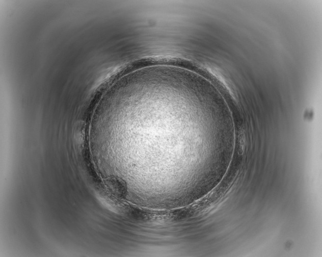 X0000099500495200805221404