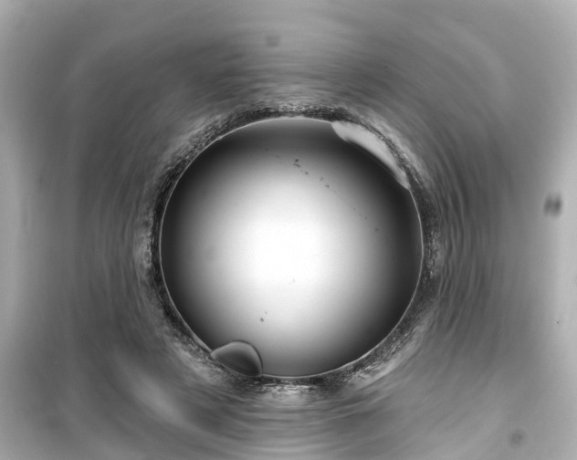 X0000099500497200805221404