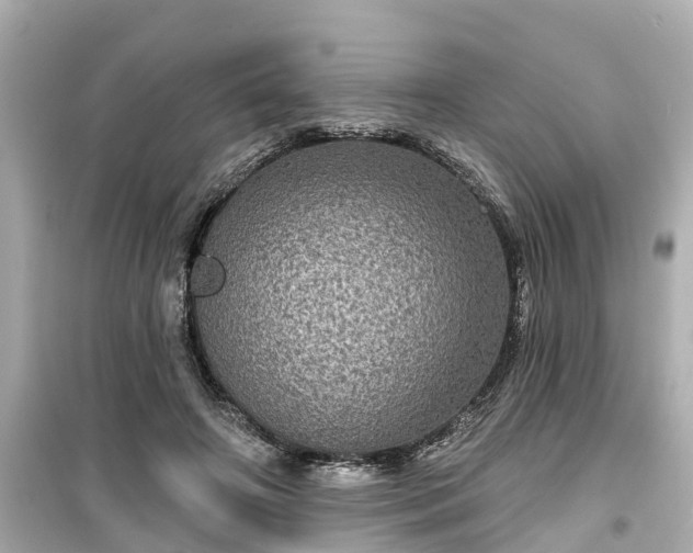 X0000099500498200805221404