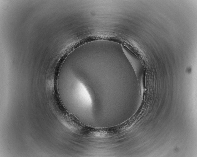 X0000099500500200805221403