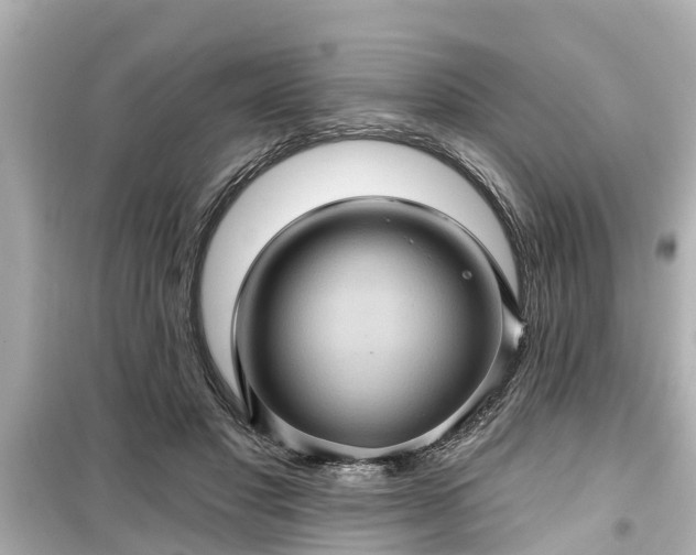 X0000099500501200805221403