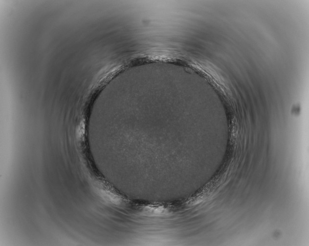 X0000099500502200805221403