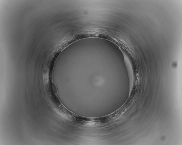 X0000099500504200805221403