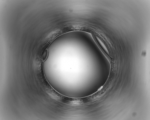 X0000099500505200805221403