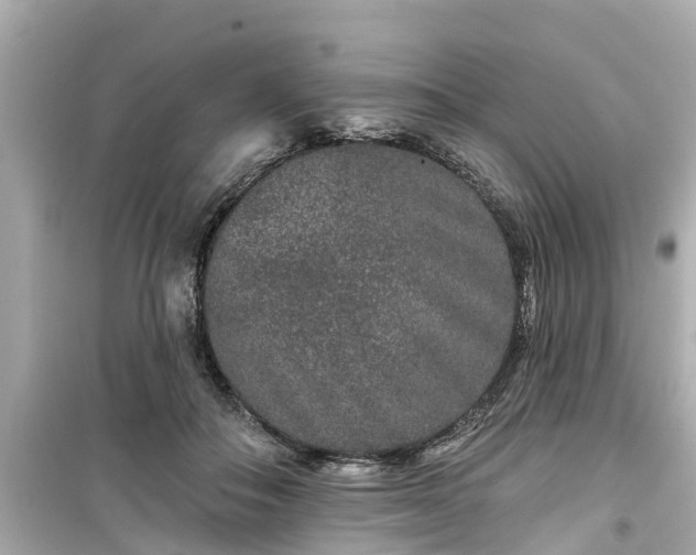 X0000099500506200805221403