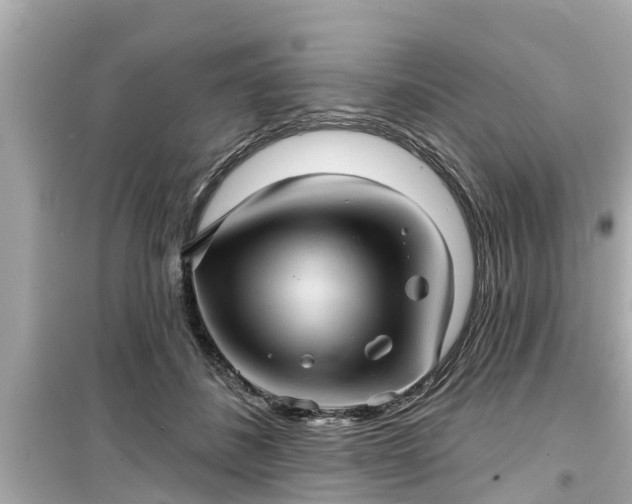 X0000099500508200805221403