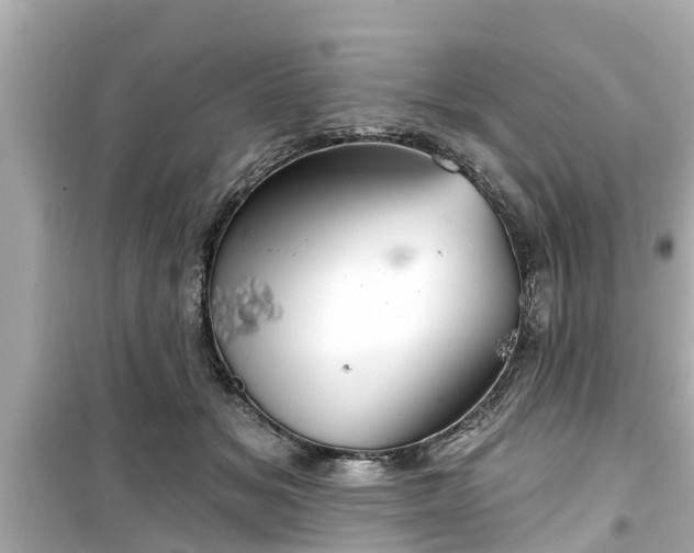 X0000099500509200805221403