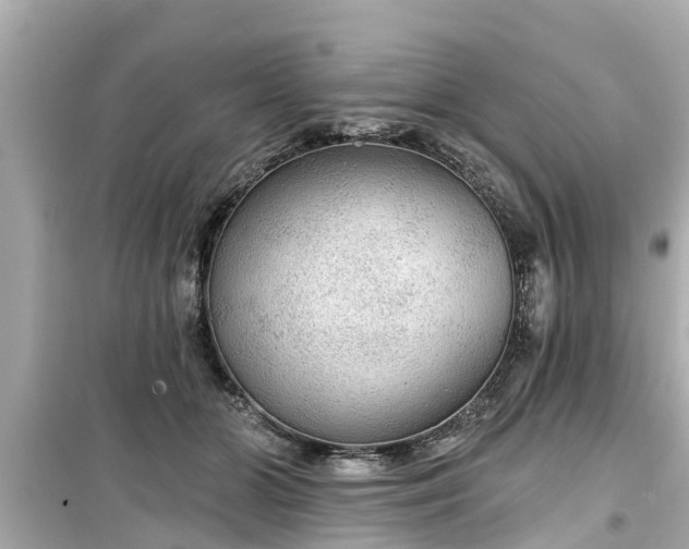 X0000099500510200805221403