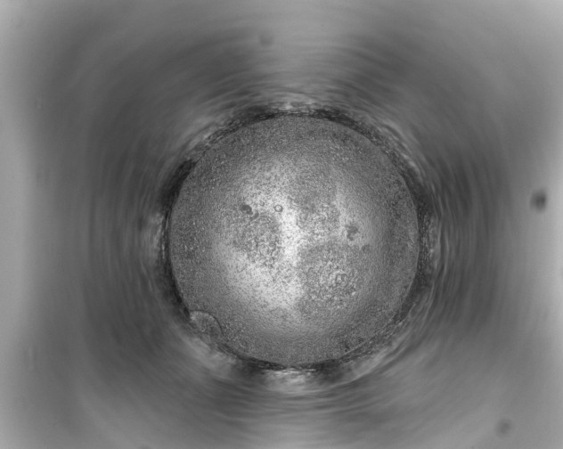 X0000099500511200805221403