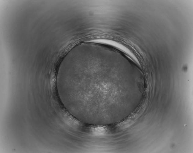 X0000099500513200805221403
