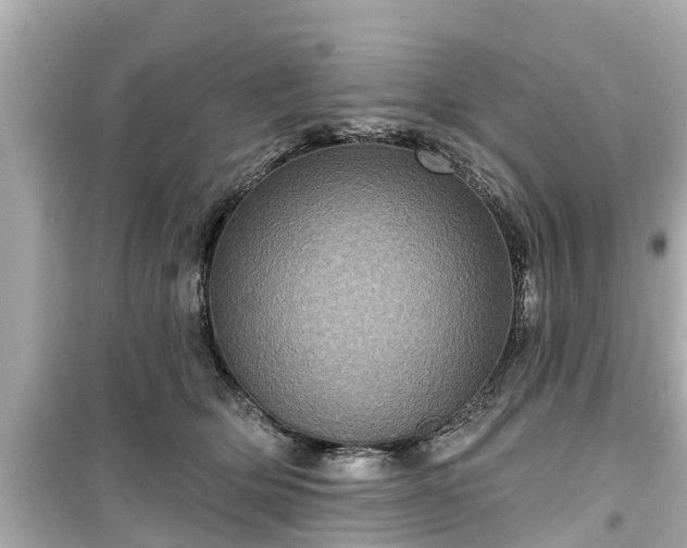 X0000099500514200805221403