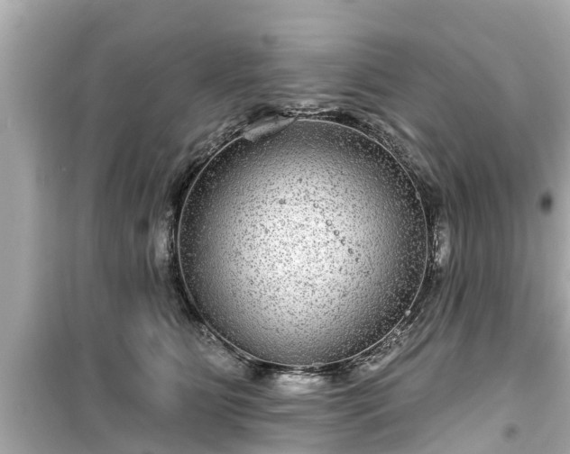 X0000099500515200805221403