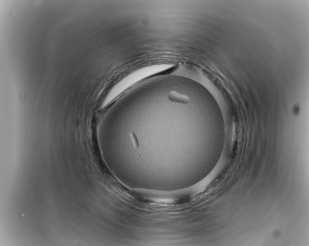 X0000099500516200805221403