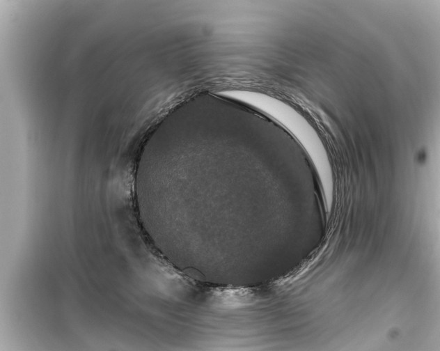 X0000099500517200805221403