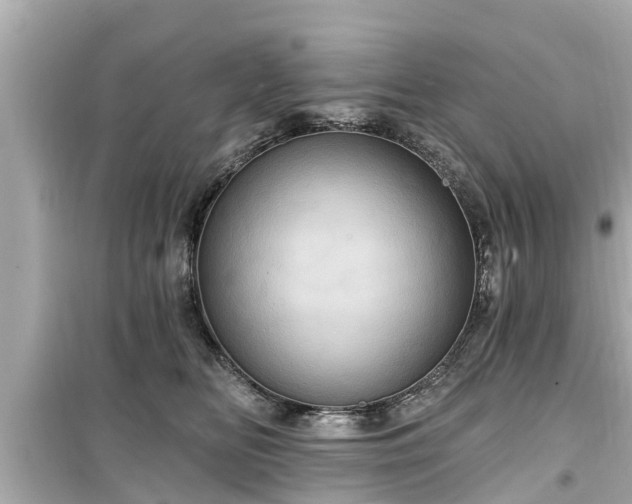 X0000099500518200805221403