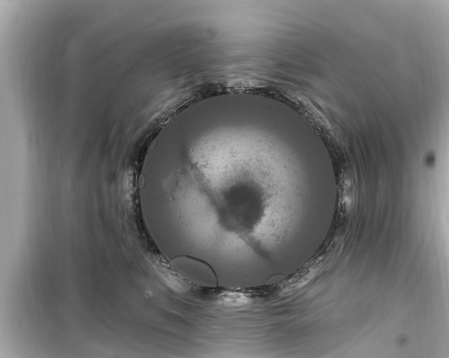 X0000099500519200805221403
