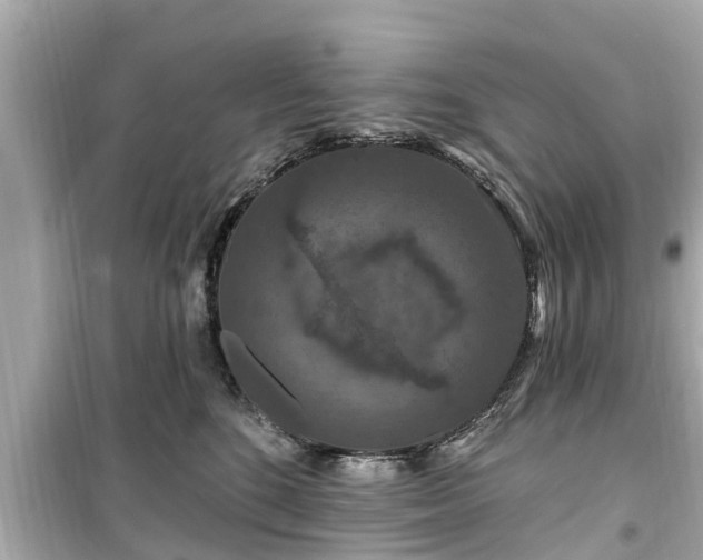 X0000099500520200805221403