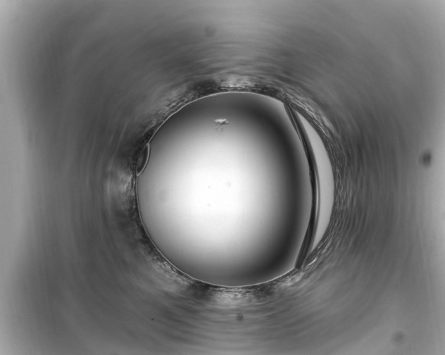 X0000099500521200805221403