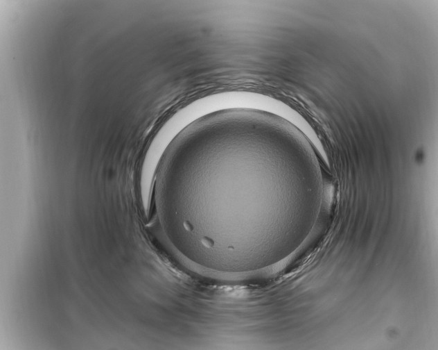X0000099500524200805221403