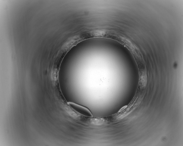 X0000099500525200805221403