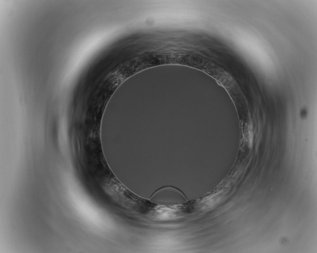 X0000099500526200805221403