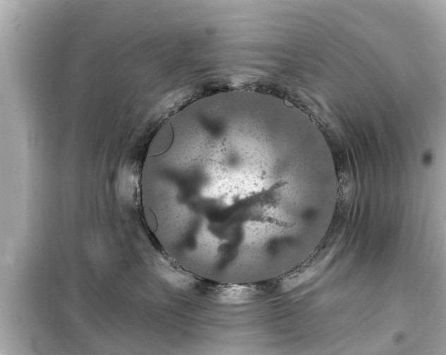 X0000099500527200805221403