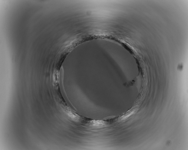 X0000099500528200805221403