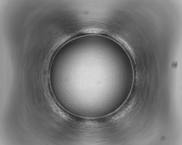 X0000099500529200805221402