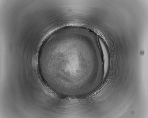 X0000099500531200805221402