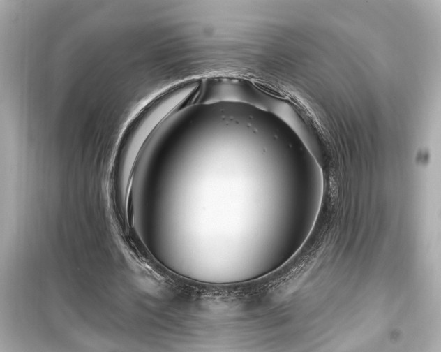 X0000099500532200805221403
