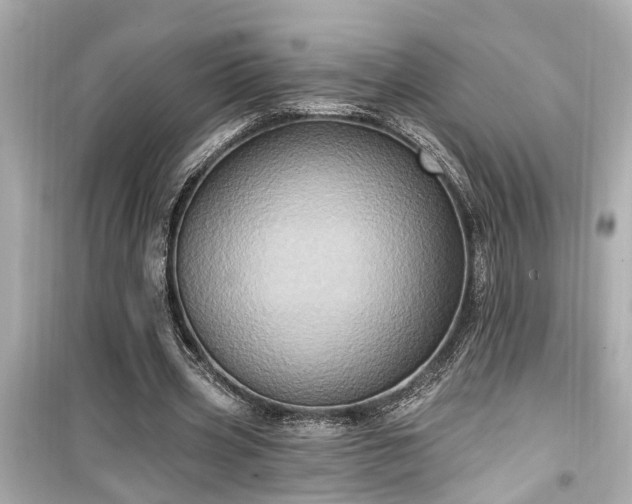 X0000099500533200805221403