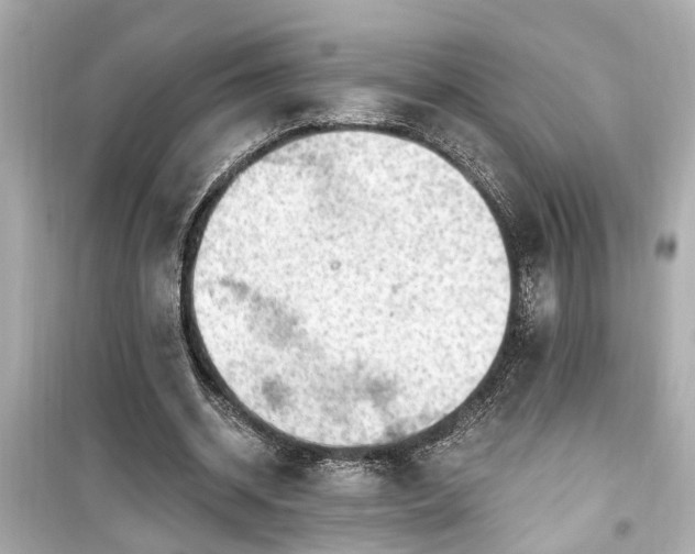 X0000099500534200805221403