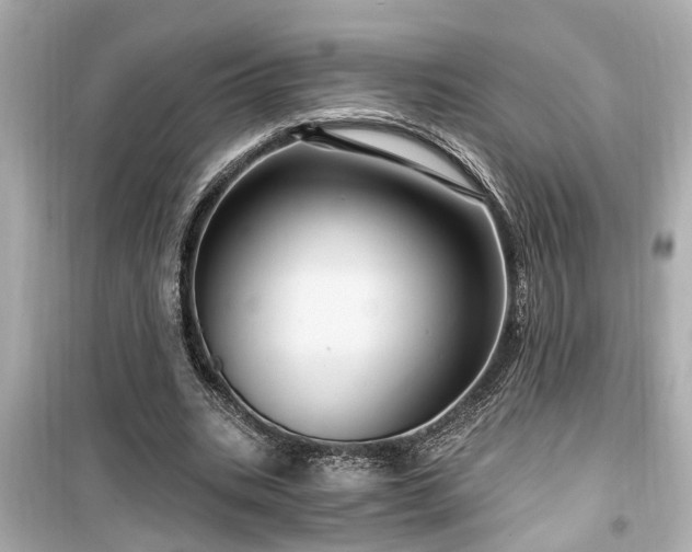 X0000099500535200805221403