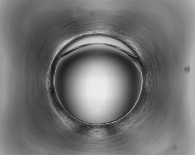 X0000099500536200805221403