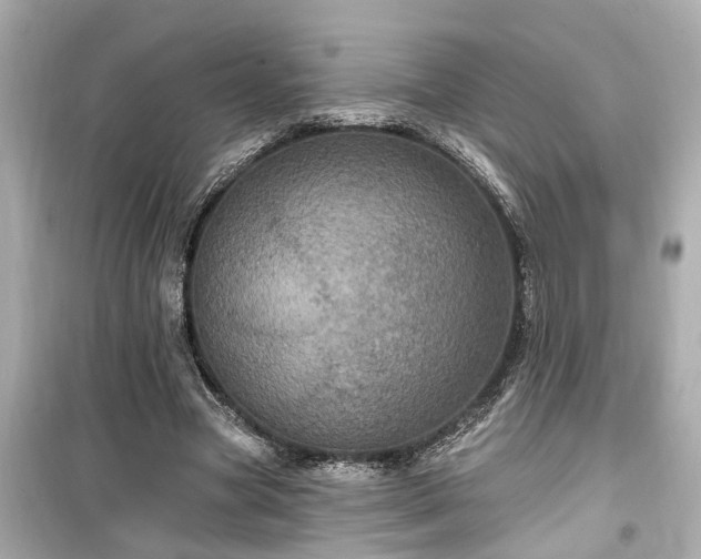 X0000099500537200805221403