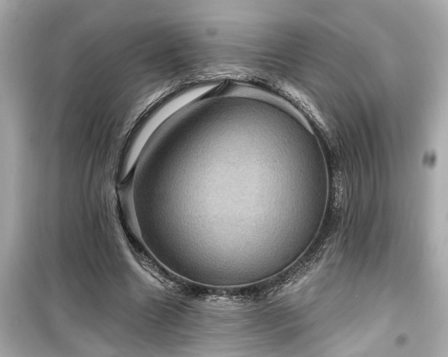 X0000099500538200805221403