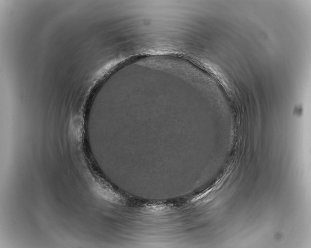 X0000099500540200805221403